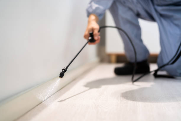 Licensed Pest Control service in Minden, LA - Show Me Pest Control