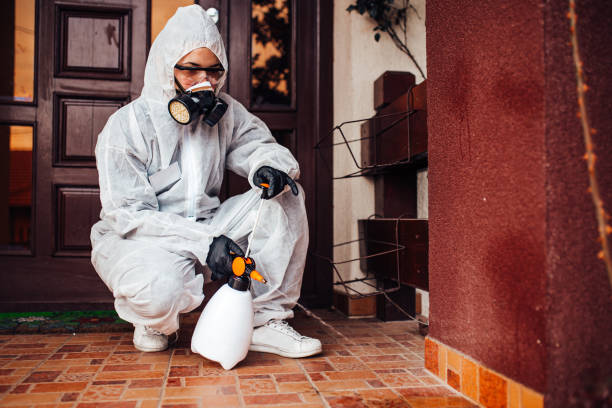 Reliable Ant Control contractor in Minden, LA by Show Me Pest Control